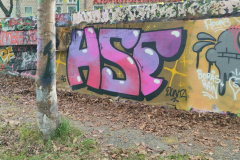 IMG20250510172002