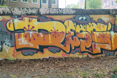 IMG20250510172005