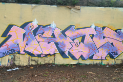 IMG20250510172041