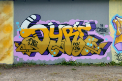 IMG20250510172335