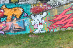 IMG20250510172427