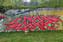 IMG20250510172434