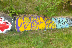 IMG20250510172504
