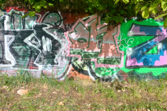 IMG20250512084650