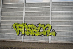 DSC00697
