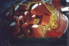 Rois8