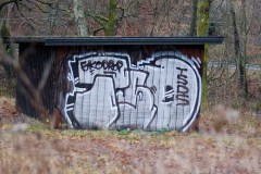mini-img_9941_27174161