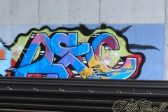 mini-cimg3040_91447336