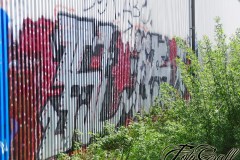 mini-cimg3097_91450426