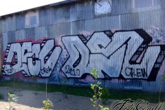 mini-cimg3149_91450990