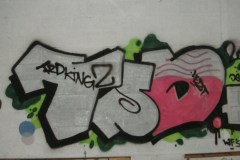 mini-dsc03014_65216032
