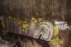 mini-dsc07444_39207863